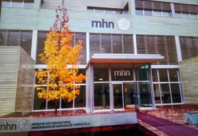 a building with a tree in front of it at AdA Apartamento in Santiago de Compostela