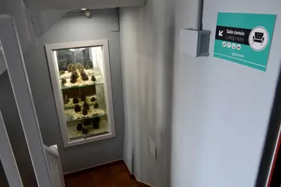 a hallway with a display case of wine glasses at Albergue O Fogar de Teodomiro in Santiago de Compostela