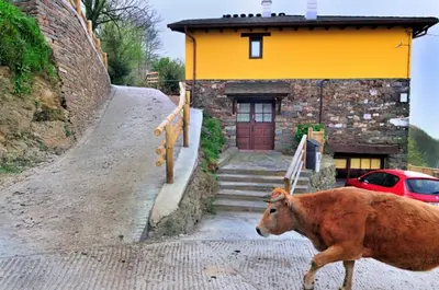 a cow walking down a street in front of a house at Casa Corral - Casas de Aldea in Monón