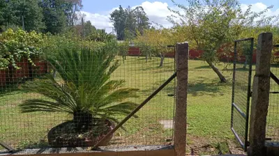 a fence with a plant in a garden at CASA DE CAMPO TRANQUILA EN VILAR CERCA DE SANTIAGO in Touro