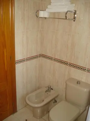 a bathroom with a toilet and a sink at Hostal Pumar in Santiago de Compostela