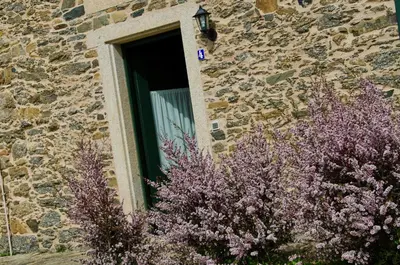 a window of a stone building with purple flowers in front at Naturlar Casa Teillor in Moldes