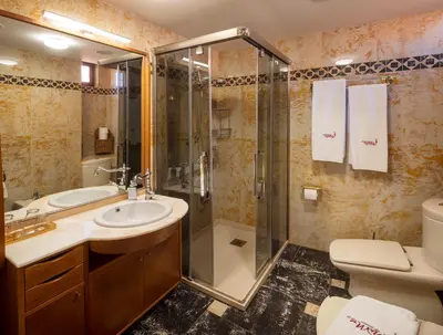 a bathroom with a shower and a sink and a toilet at El Descanso de Wendy in Astorga