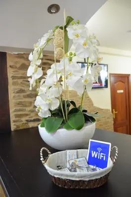 a white vase with white flowers on a table at Del Peregrino in Arzúa