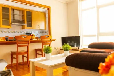 a living room with a couch and a table with plants at Apartagal-Edificio Celtas Foz in Foz