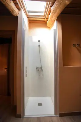a shower stall in a bathroom with a skylight at Hotel Novoa in Sarria