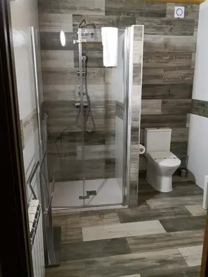 a bathroom with a shower and a toilet at LA PANDELA in Las Herrerías