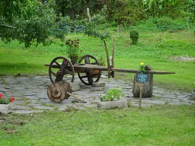 a dog laying on the ground next to a cart at Apartamentos El Llago in Boal