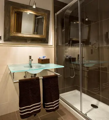 a bathroom with a sink and a shower at Hostal Raices in Puebla de Sanabria