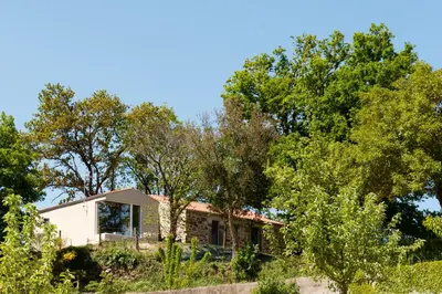 a house in the middle of trees at Casa das Landras in Chantada