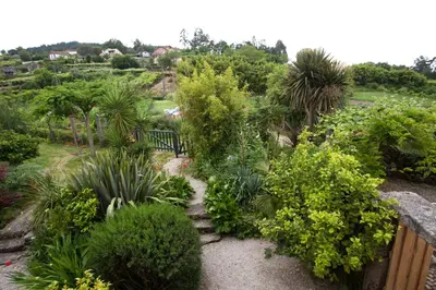 a garden with plants and trees and a fence at O Curralino in Vilacoba
