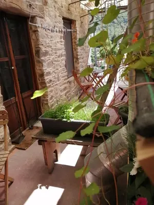 a plant in a pot sitting on a table in front of a building at El Puente Peregrino in Trabadelo