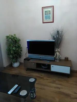a living room with a flat screen tv on a table at Lar Cuche in Ourense