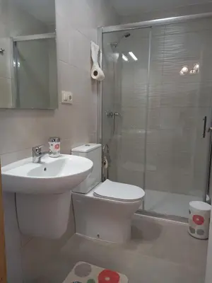 a bathroom with a toilet and a sink and a shower at Albergue Agarimo in Caldas de Reis