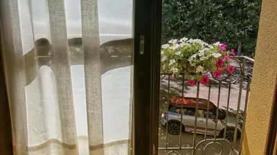 a window with a car on a balcony with flowers at Hotel Valle del Silencio in Ponferrada