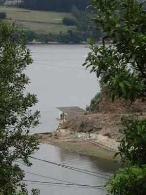 a view of a lake from between two trees at Apartamento Apega in Ribadeo