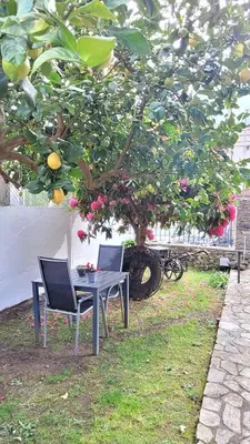 a table and chairs in front of a lemon tree at Besbello Suites - Apartamento in Santiago de Compostela