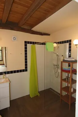 a bathroom with a shower with a green shower curtain at Pazo de Chaioso Ribeira Sacra in Maceda