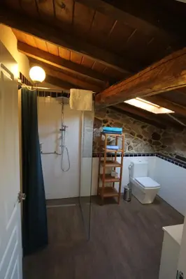 a bathroom with a shower and a toilet at Pazo de Chaioso Ribeira Sacra in Maceda