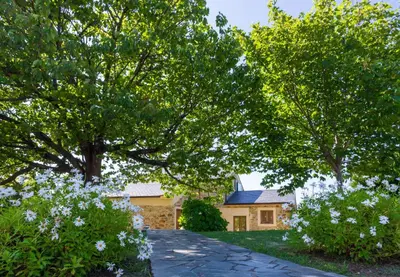 a house with trees and flowers in the yard at Apartamentos El Guindal in Tapia de Casariego