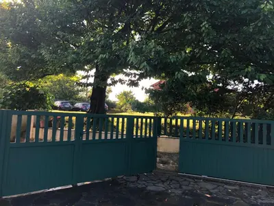 a green fence with a tree behind it at Apartamentos El Guindal in Tapia de Casariego