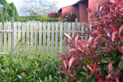 a white picket fence in front of a house at Apartamentos El Guindal in Tapia de Casariego