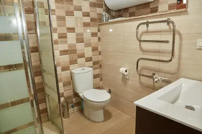 a bathroom with a toilet and a shower and a sink at A Cucada in Sabariz