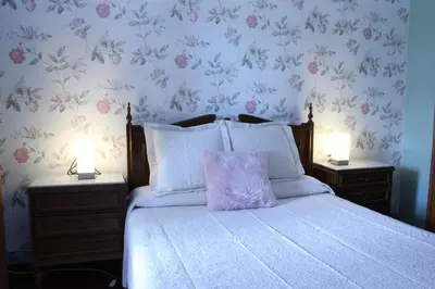 a bedroom with a bed with a purple pillow on it at Casa do Bouza Vello in Sober