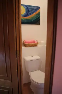 a bathroom with a toilet and a painting on the wall at Casa do Bouza Vello in Sober