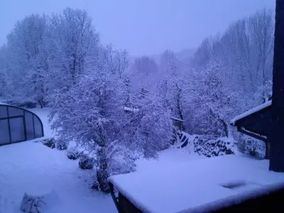 a view of a snow covered yard with trees at Hotel Rural El Rincón de Trefacio in Trefacio