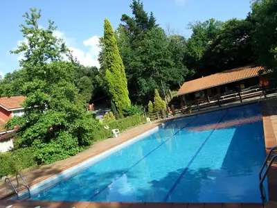 a large blue swimming pool with trees in the background at Bungalow Camping Los Manzanos in Santa Cruz de Oleiros
