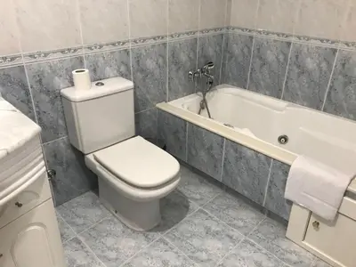 a bathroom with a toilet and a bath tub at Apartamento Good Way in O Pedrouzo
