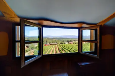 an open window with a view of a vineyard at Prada a Tope - Palacio de Canedo in Canedo