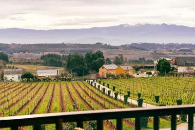 a view of a farm with mountains in the background at Prada a Tope - Palacio de Canedo in Canedo