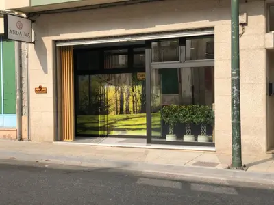 a store front window with potted plants in it at Andaina in Sarria