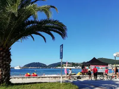 a palm tree next to a beach with a group of people at A&L Playa in Viveiro