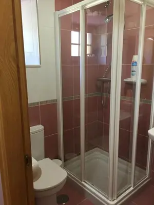 a bathroom with a shower and a toilet at Apartamentos Carola in San Tirso de Abres