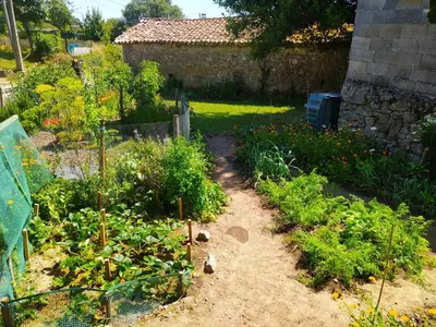 a garden with some plants in a yard at Fogar do Pumar in Pantón