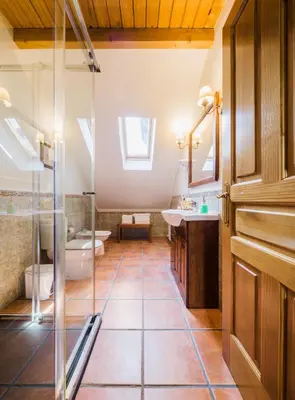 a bathroom with a shower and a toilet and a sink at Apartamentos Rurales L´Abiseu in Caboalles de Abajo