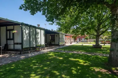 a green building with a tree in the grass at Alojamientos rurales O Acivro in A Rúa