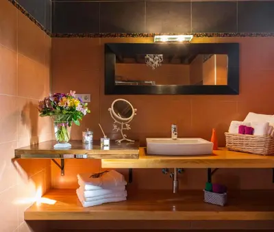 a bathroom with a sink and a mirror at Casa Ramiras in O Viso