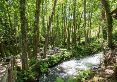 a stream in the middle of a forest with trees at Casa Ramiras in O Viso