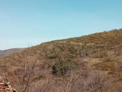 a hill covered in trees and bushes on a hill at Casa Rural del Acebo in Espinoso de Compludo