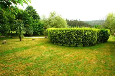 a hedge in a grassy field with at As Seis Chemineas in San Xulián de Sales