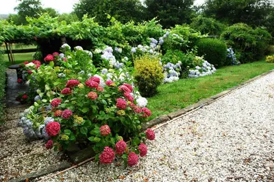 a garden with pink and purple flowers and bushes at As Seis Chemineas in San Xulián de Sales