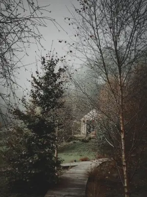 a road with trees and a house in the background at MU_MORADAS NO ULLA in Teo