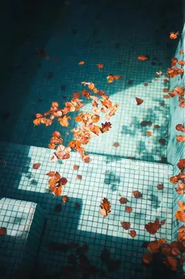 a pile of leaves on the floor of a bathroom at MU_MORADAS NO ULLA in Teo