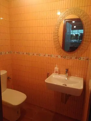 a bathroom with a sink and a toilet and a mirror at Casa Spa en montaña in Pontevedra