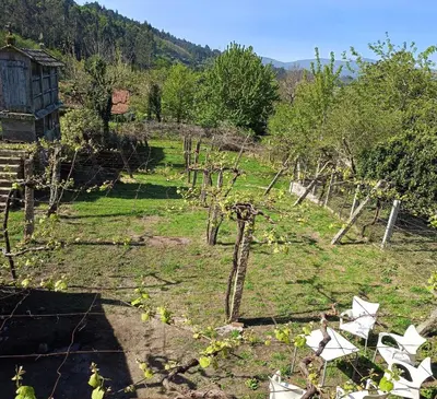 a farm with a fence and trees in a field at Pensión Rural para Peregrinos 