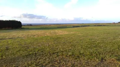 a field with a group of cows in the distance at A Minguxaina in Ribadeo
